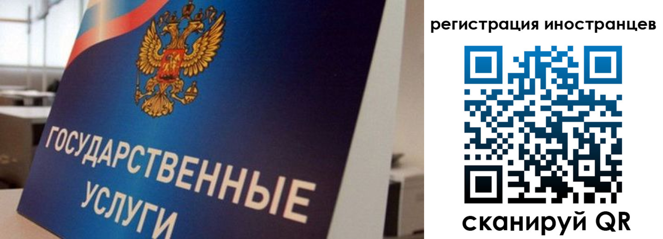 временная прописка в Бабаево